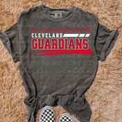 Guardians Grunge Tee/Crewneck