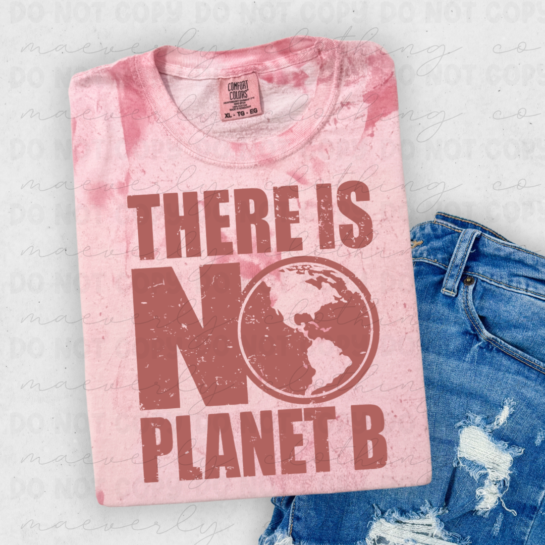 No Planet B Tee/Crewneck