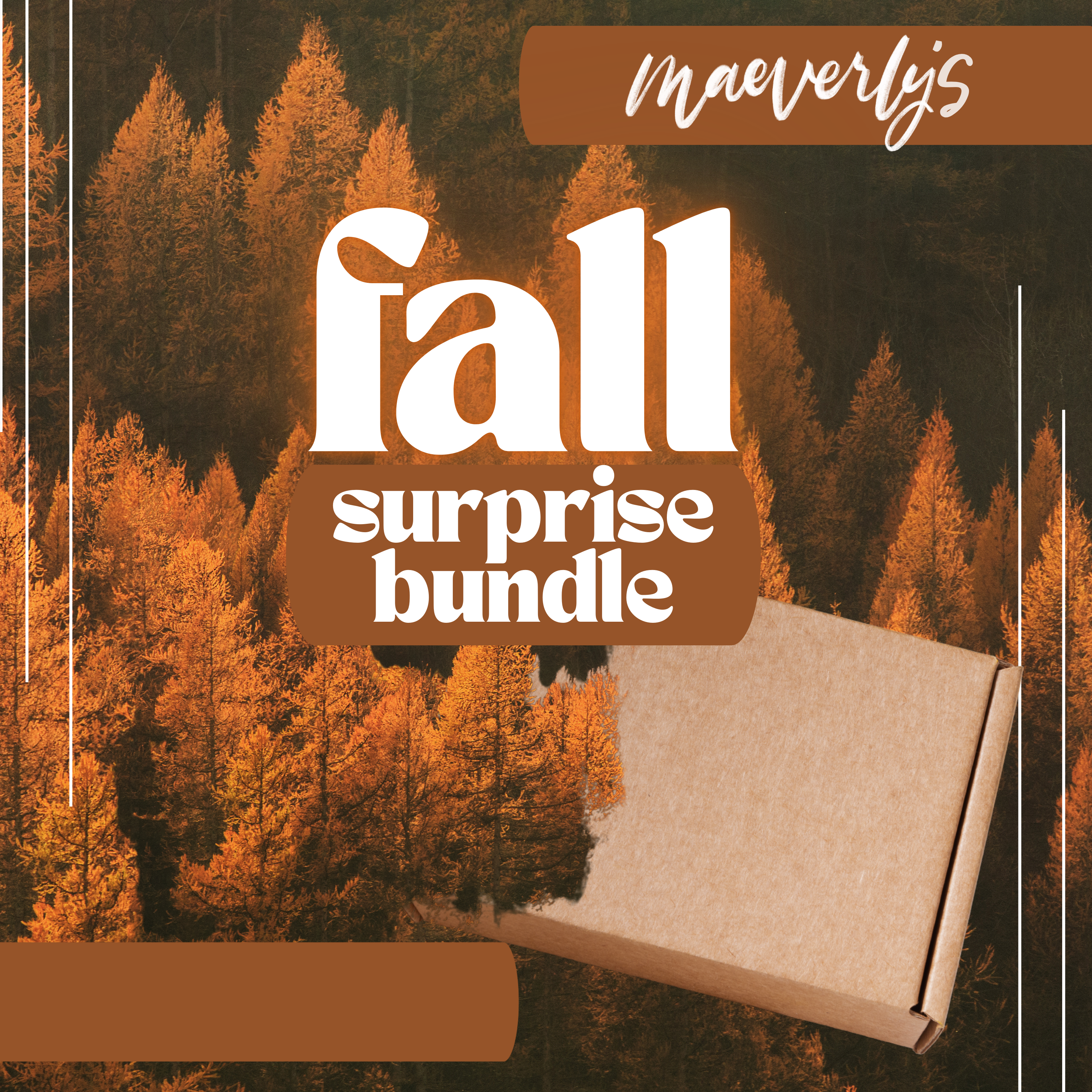 2025 Fall Surprise Boxes - 2 Sizes