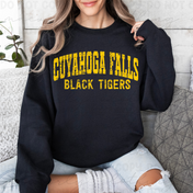Cuyahoga Falls Vintage Varsity Vibes Tee/Crewneck