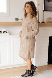 Bundled Beauty Turtleneck Sweater Dress