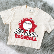 B2 Bulls Splatted Graphic