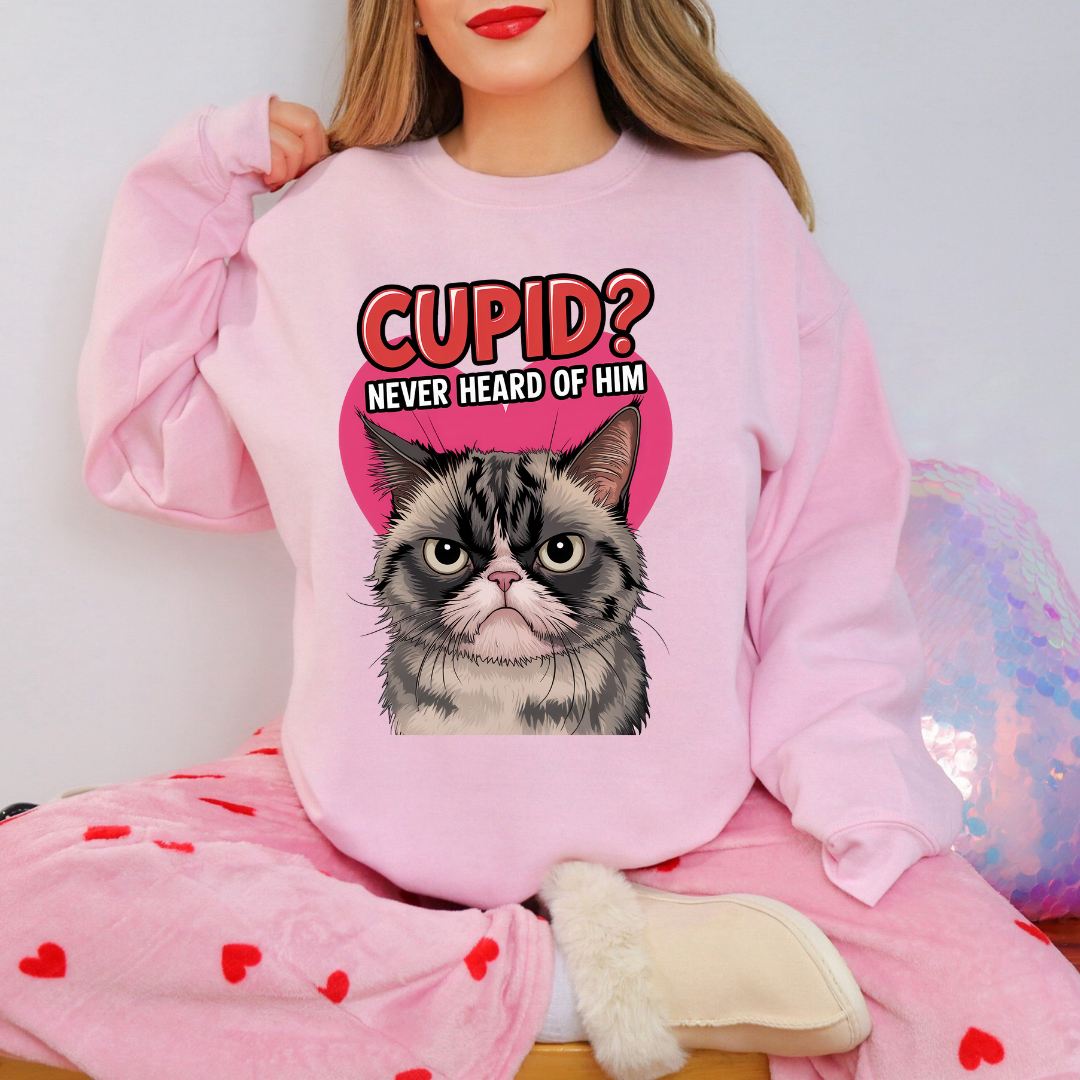 Cupid? Valentine Tee/Crewneck