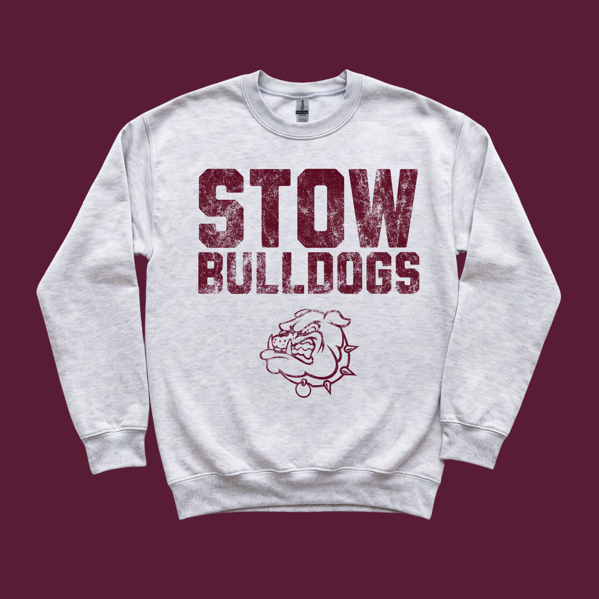 Monotone Mascot Graphic || Stow Cheer Fundraiser