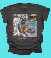 I Live Here Now Pool Graphic