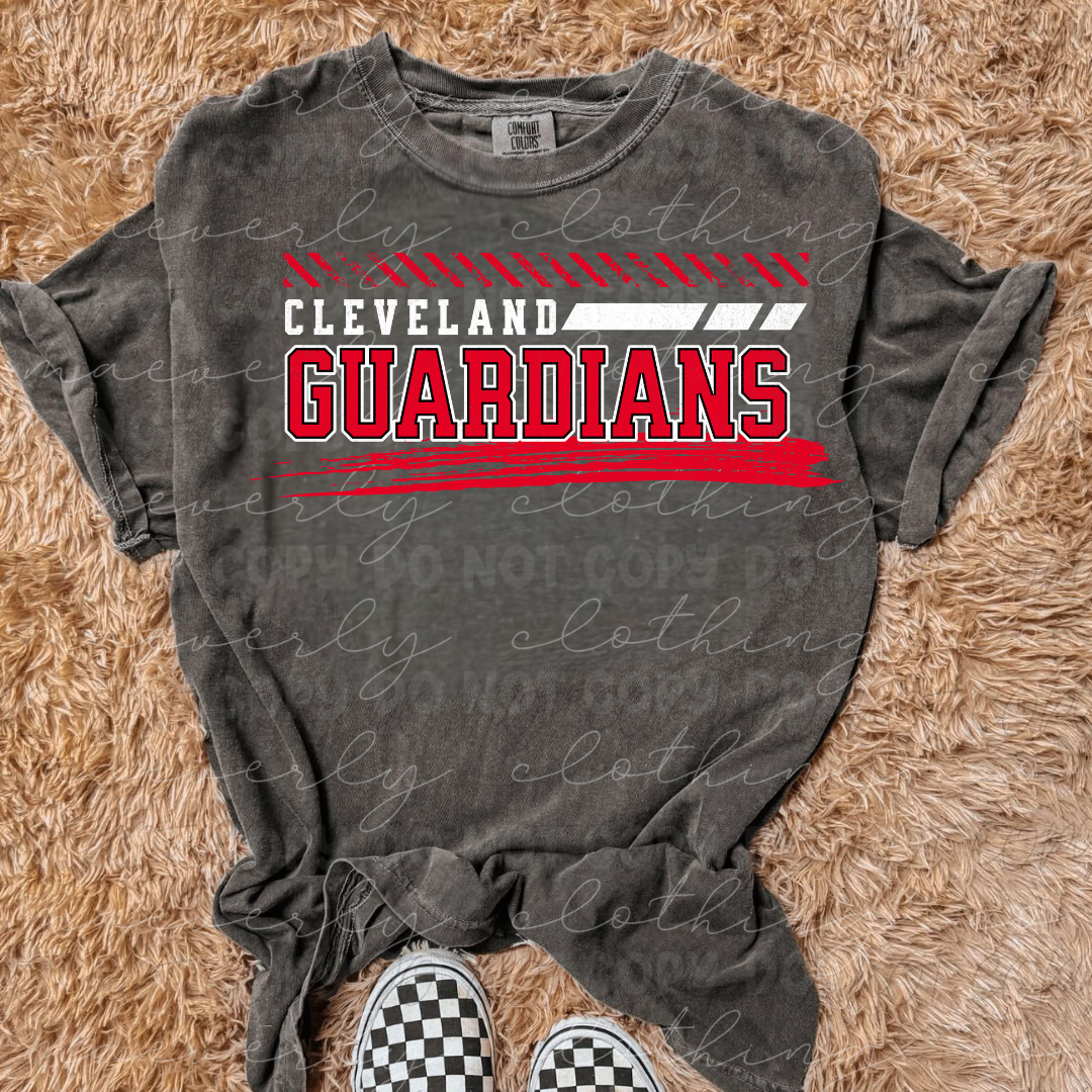 Guardians Grunge Tee/Crewneck