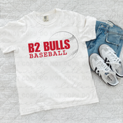 B2 Bulls Faded Ball Graphic