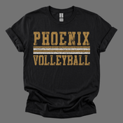 On The Edge Graphic || Phoenix Volleyball