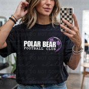 PBFC Ombre Ball Graphic