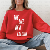 Field Falcons Life of a Mascot Tee/Crewneck