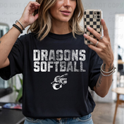 Dragons Monotone Distressed Team Graphic