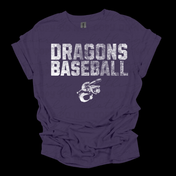 Dragons Monotone Distressed Team Graphic