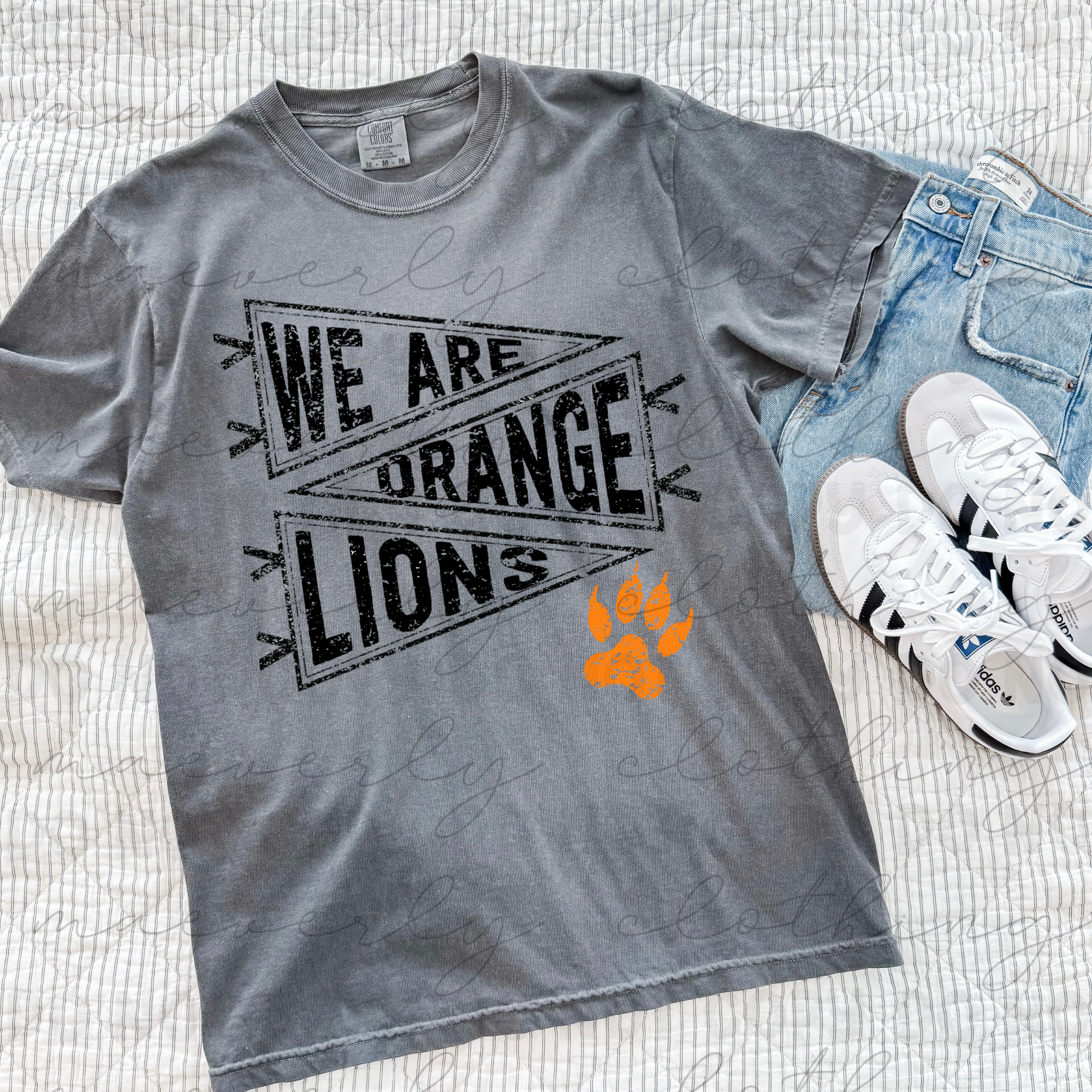 We Are Pennants || Orange Lions Graphic