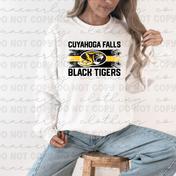 The Paint Stroke Graphic || Cuyahoga Falls Black Tigers