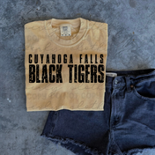 The Grunge Graphic || Cuyahoga Falls Black Tigers