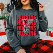 Field Falcons Sketch Basketball Tee/Crewneck