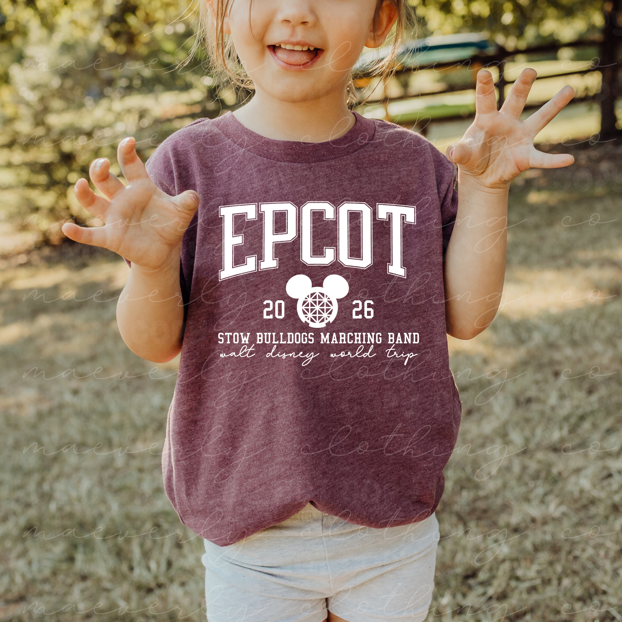 Stow/Epcot Simple Graphic