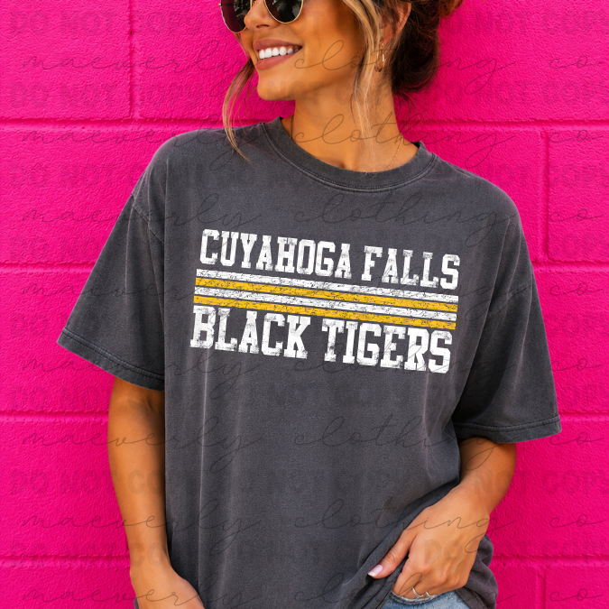 50_a7318a92-d4fd-4339-8ffd-3d6f81e00123.png