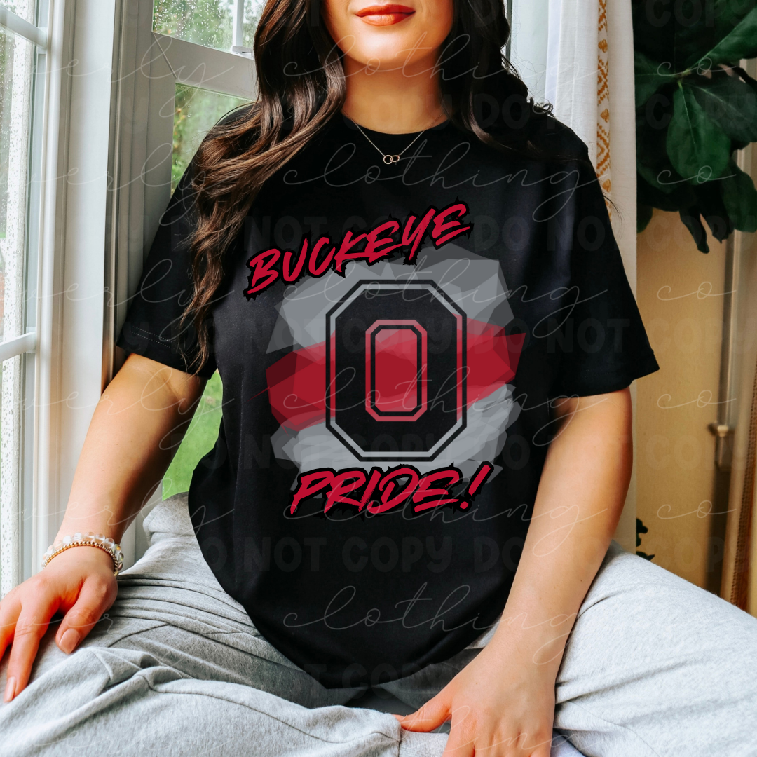 Ohio State Block O Pride Tee/Crewneck