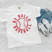 B2 Bulls Halftone Ball Graphic