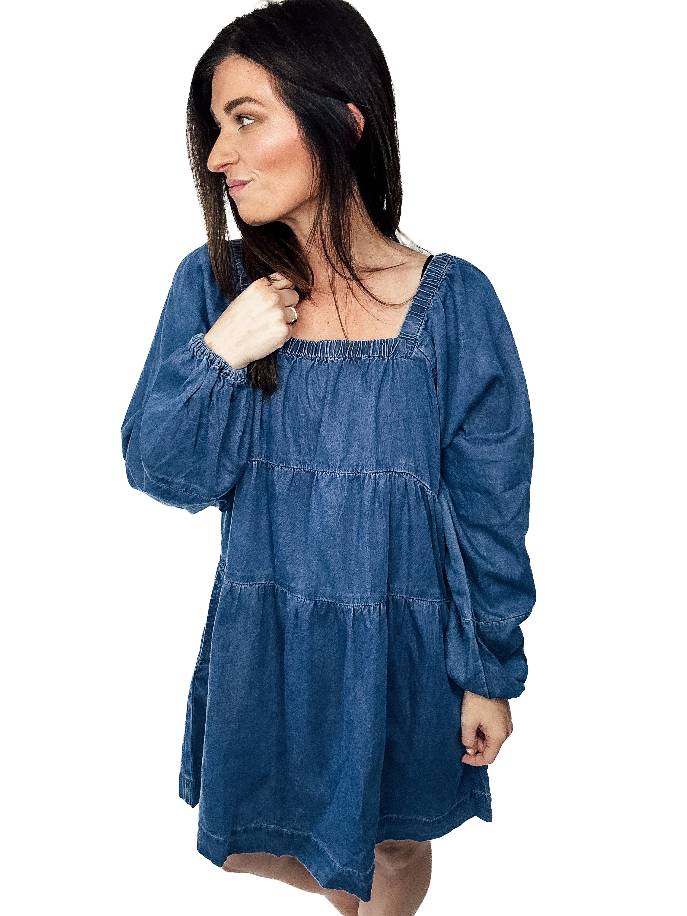 Denim Dreamer Dress - PREORDER