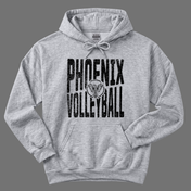 Team Pride || Phoenix Volleyball