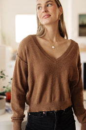 Back to Life V-Neck Sweater in Mocha