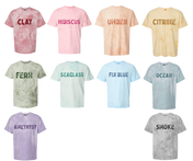 Chasing Checkers Colorblast Tee