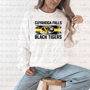 Cuyahoga Falls Paint Stroke Graphic